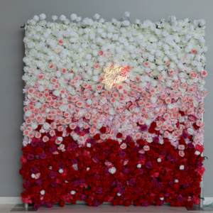 Gradient Flower wall