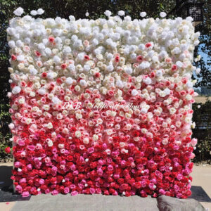 Stunning Gradient Rose 5D floral backdrop for rent, perfect for weddings, engagements, and special events