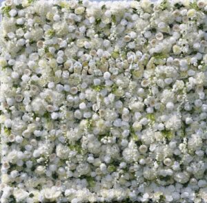 Luxurious 5D white rose flower wall made with high-quality silk flowers – elegant backdrop for weddings, events, and photo booths
